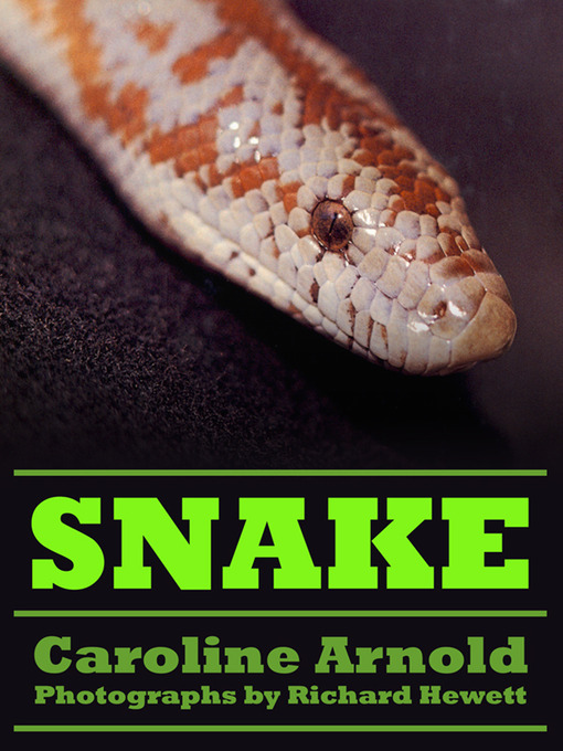 Title details for Snake by Caroline Arnold - Available